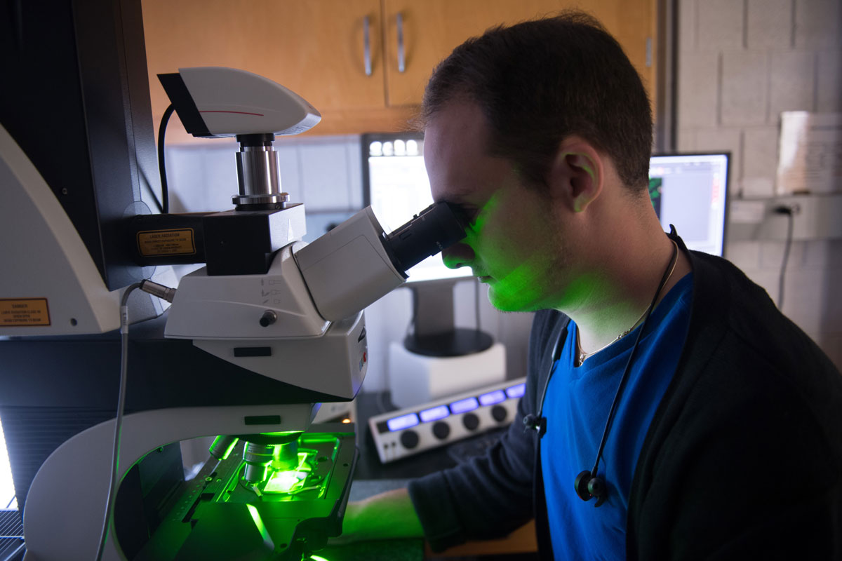 Students working in Joshua Weiner's lab in the Biology Building