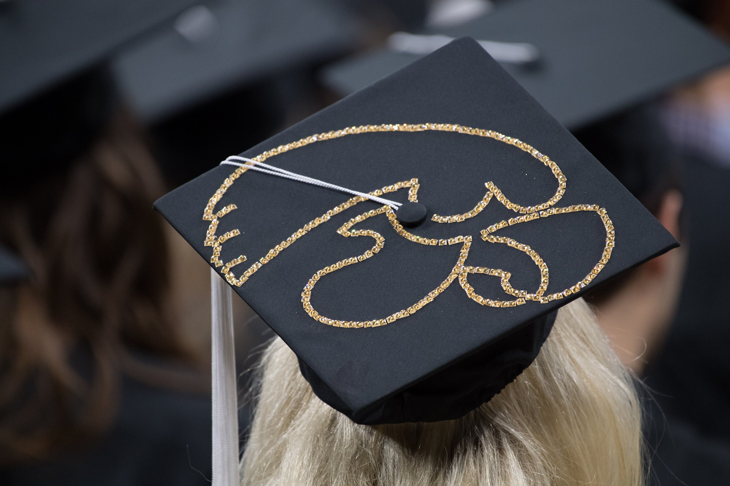 Decorated graduation cap with TigerHawk logo