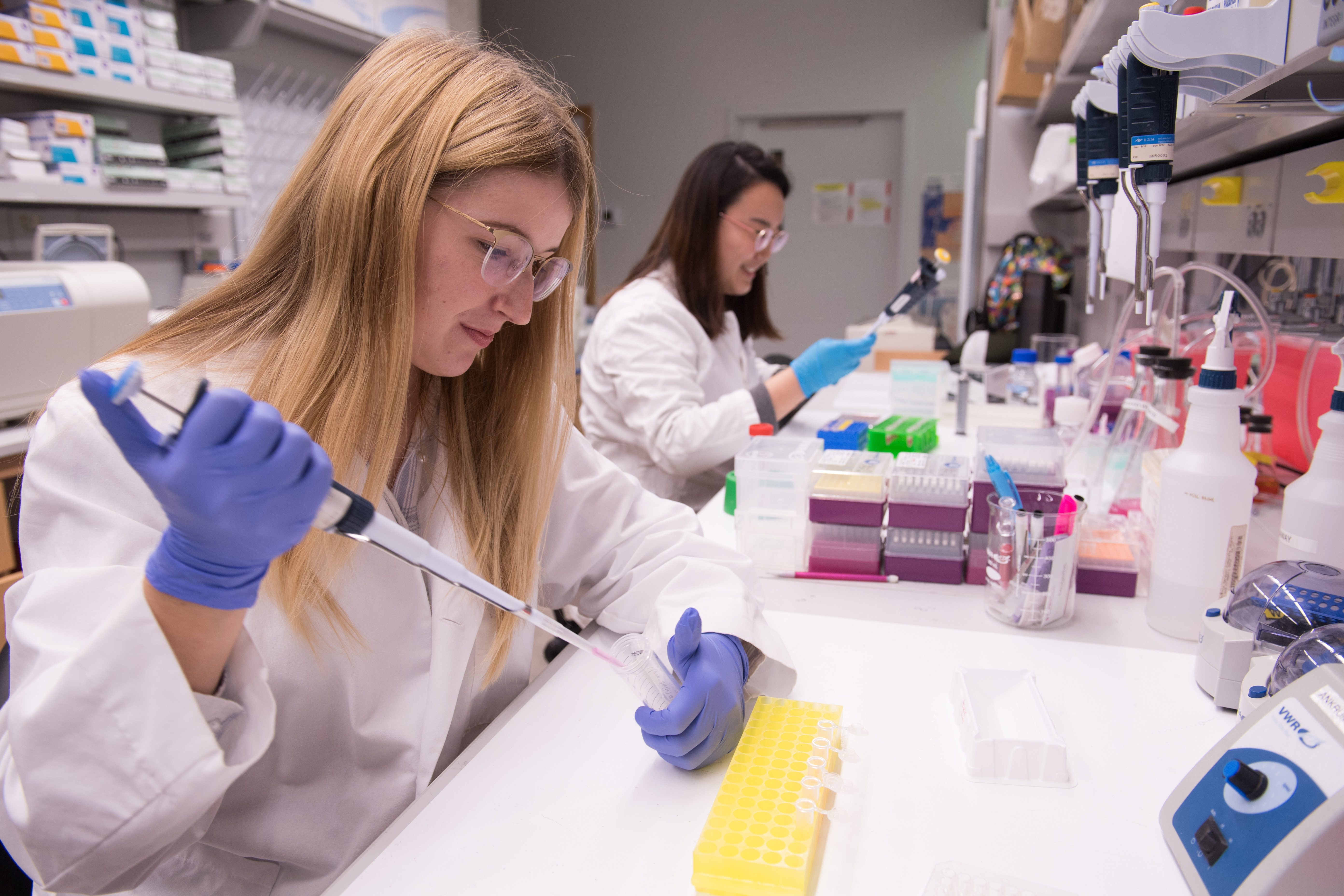 Hannah Dobroski, left, and Lin Di work on their research projects in Dr. James Ankrum's lab in PBDB. Both undergraduates, Dobroski and Li are working on diabetes-related research.