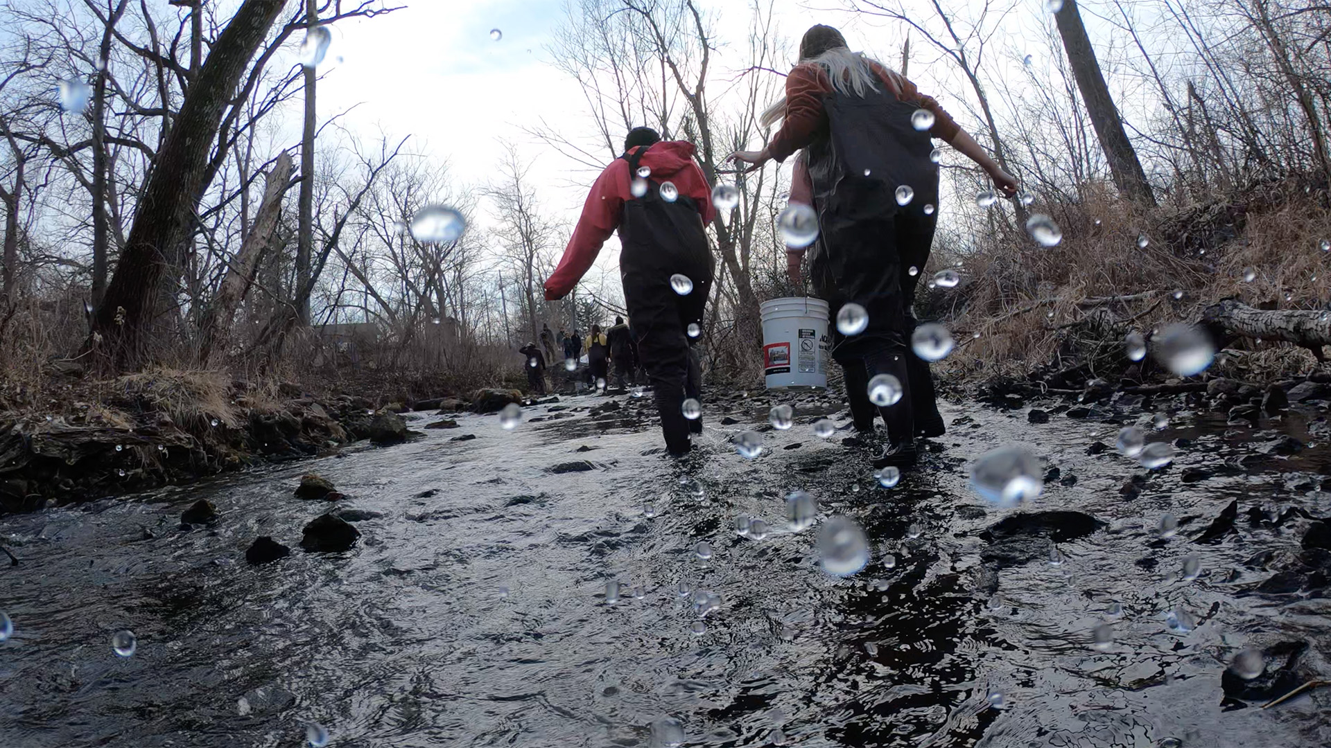 students working in a stream during a fish ecology class