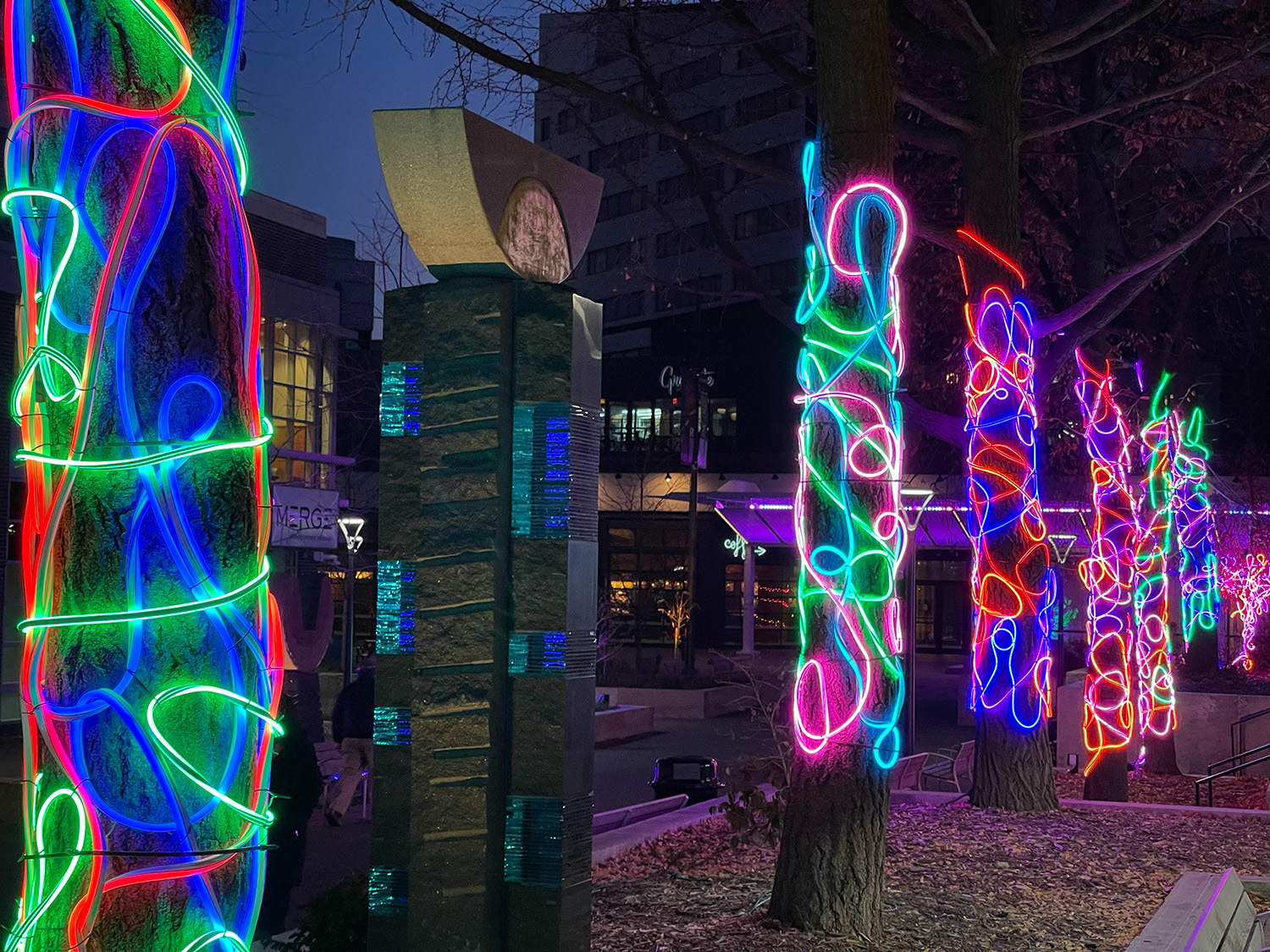 Lines of LED lights drawn over trees