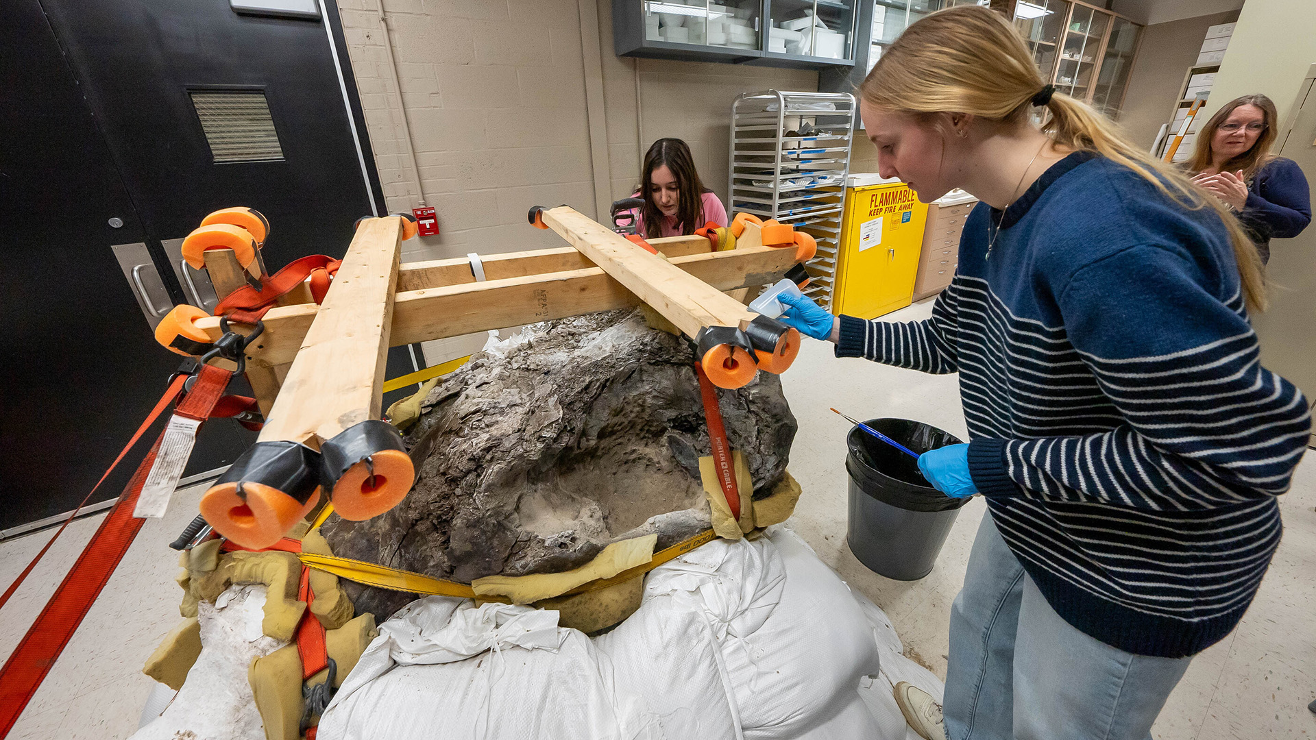 UI students helping to carefully clean and preserve the skull and other bones of a mastodon