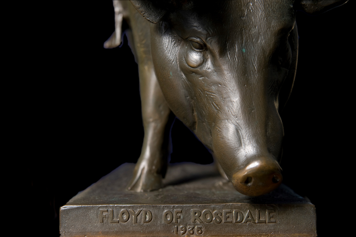 detail shot of the Floyd of Rosedale trophy, which is a large bronze pig