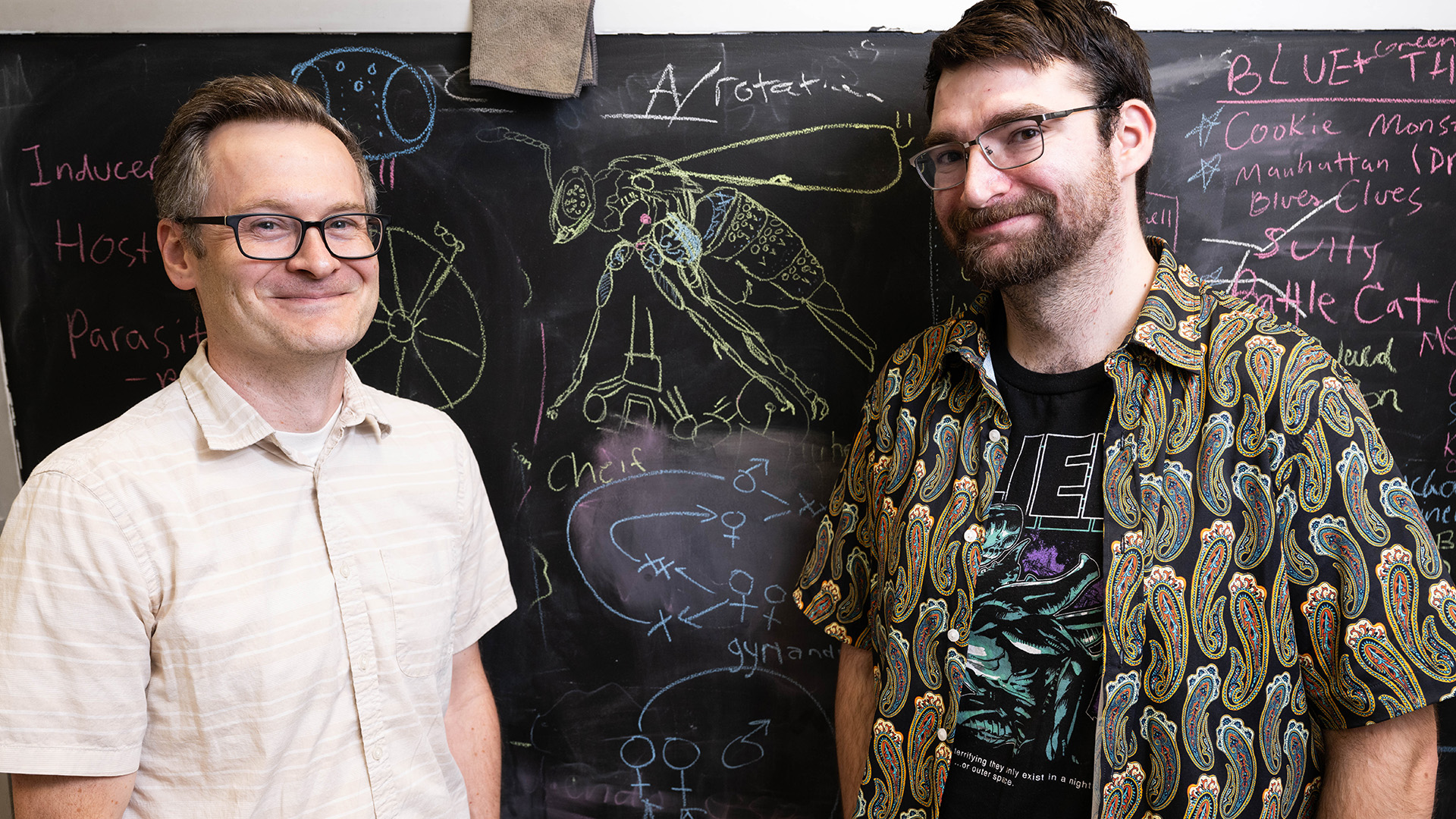two researchers standing in front of a chalkboard that has a wasp drawing on it