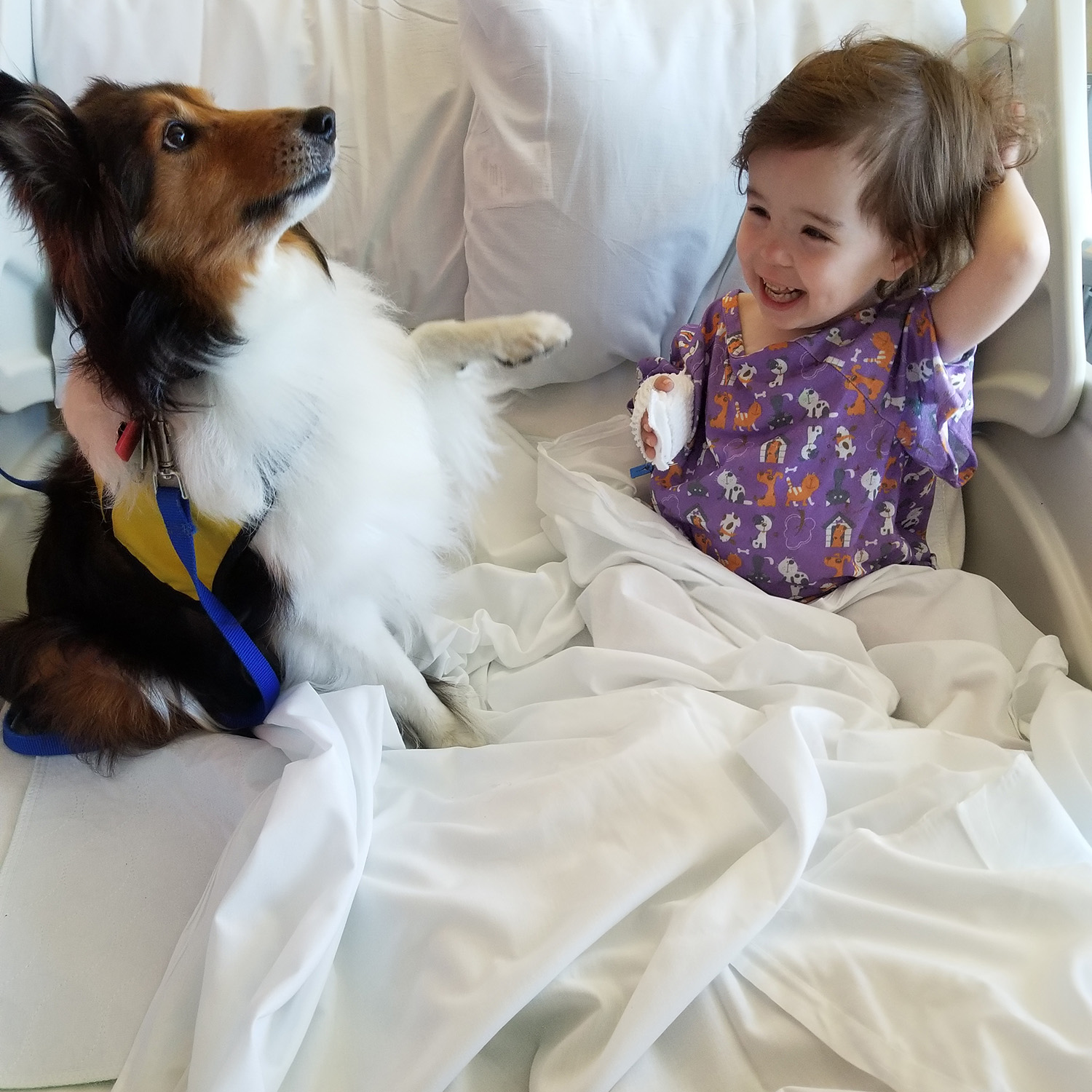 a therapy dog with a pediatric patient in a hospital bed