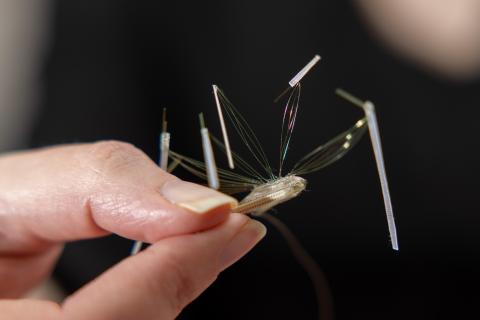 a multi-site recording electrode used in lab mice to measure neural signals related to migraine and migraine resistance