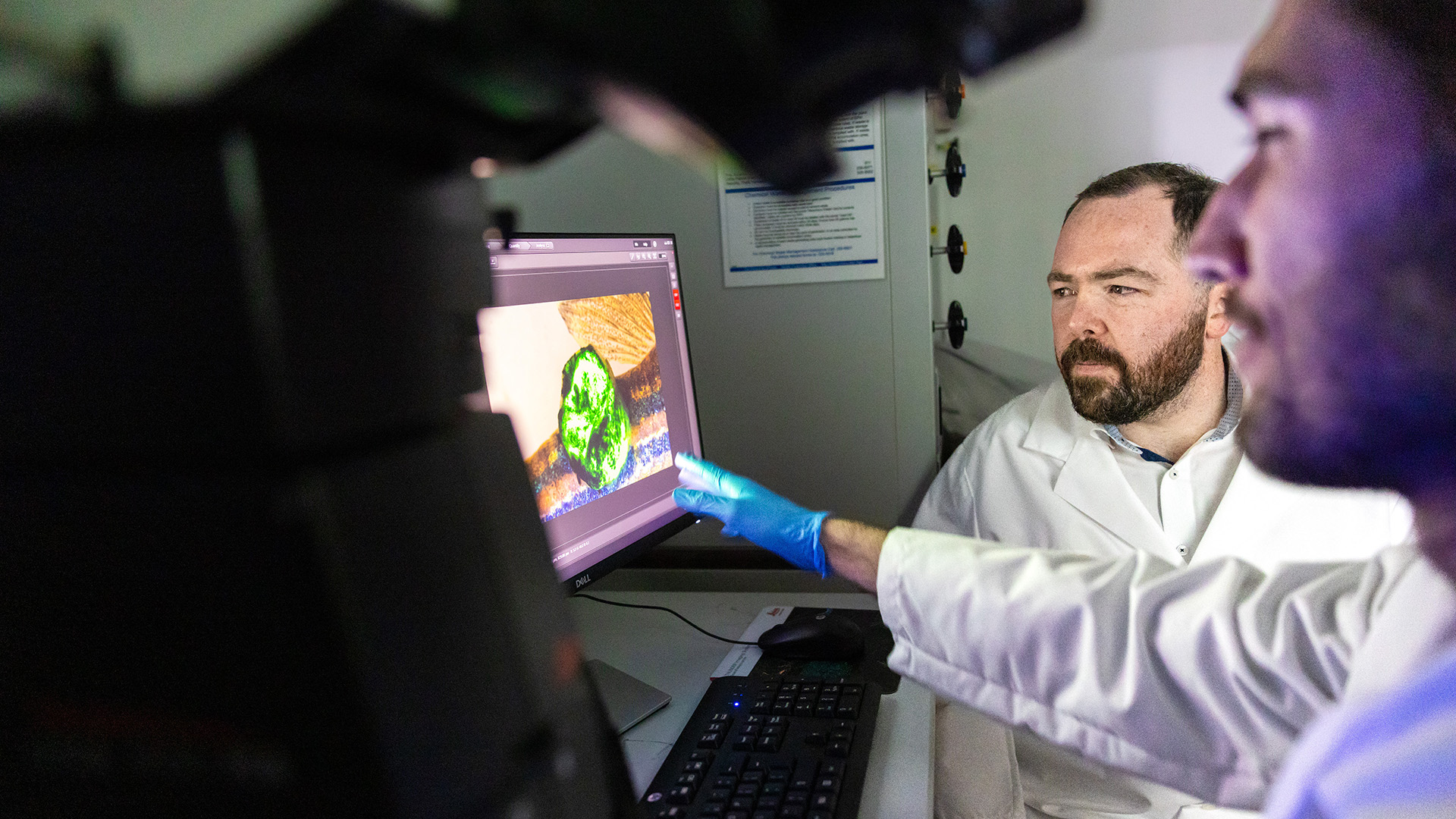 two researchers look at an image on a computer screen