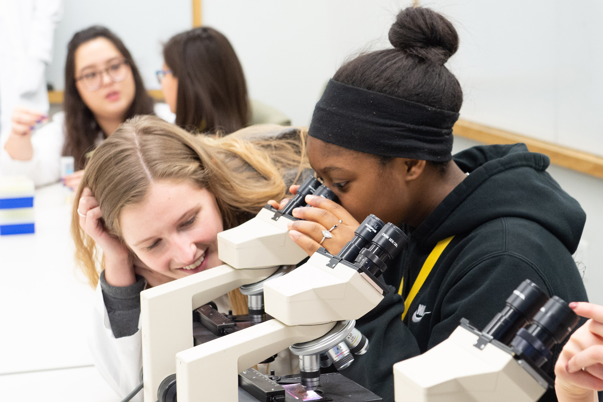 Girls Go STEM participants work with microscopes