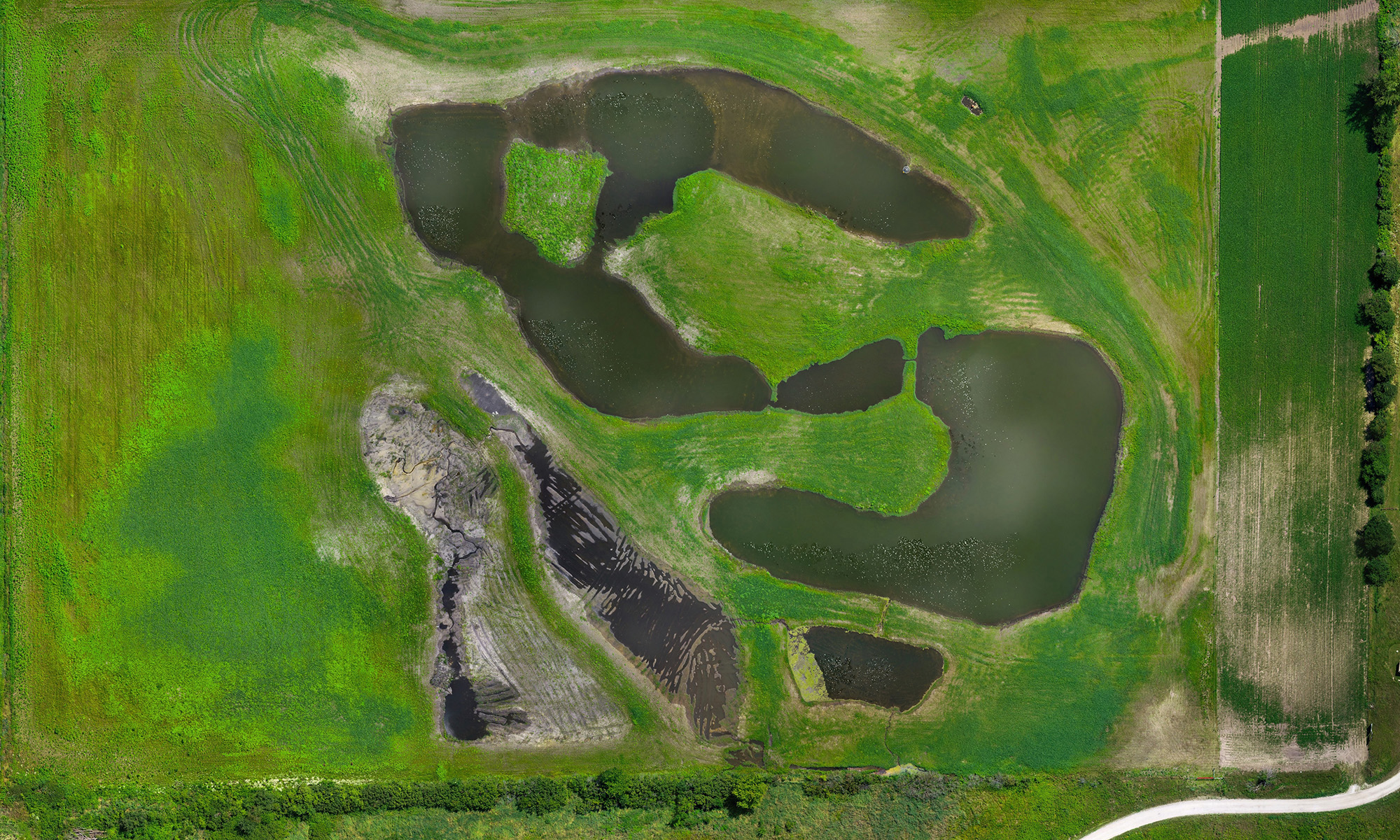 aerial view of a wetland area