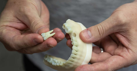 simulated teeth created by Protostudios at the University of Iowa
