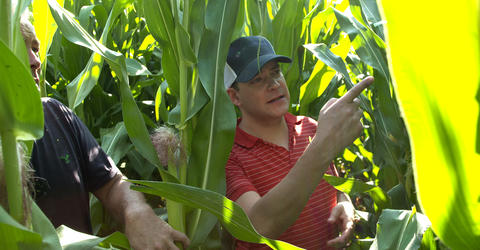 Pivot Bio co-founder and University of Iowa graduate Karsten Temme in a cornfield