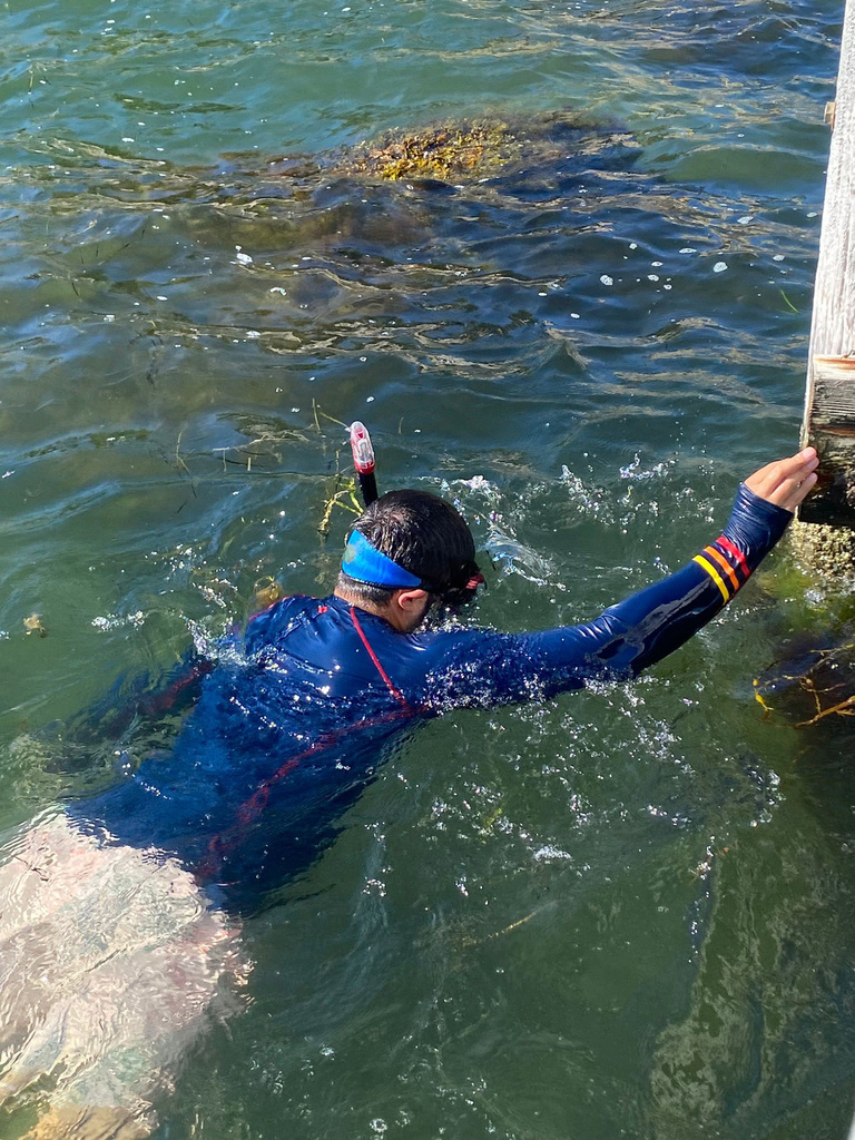 A man swimming face down with a mask on