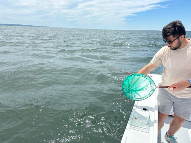 A man with a net over a big body of water