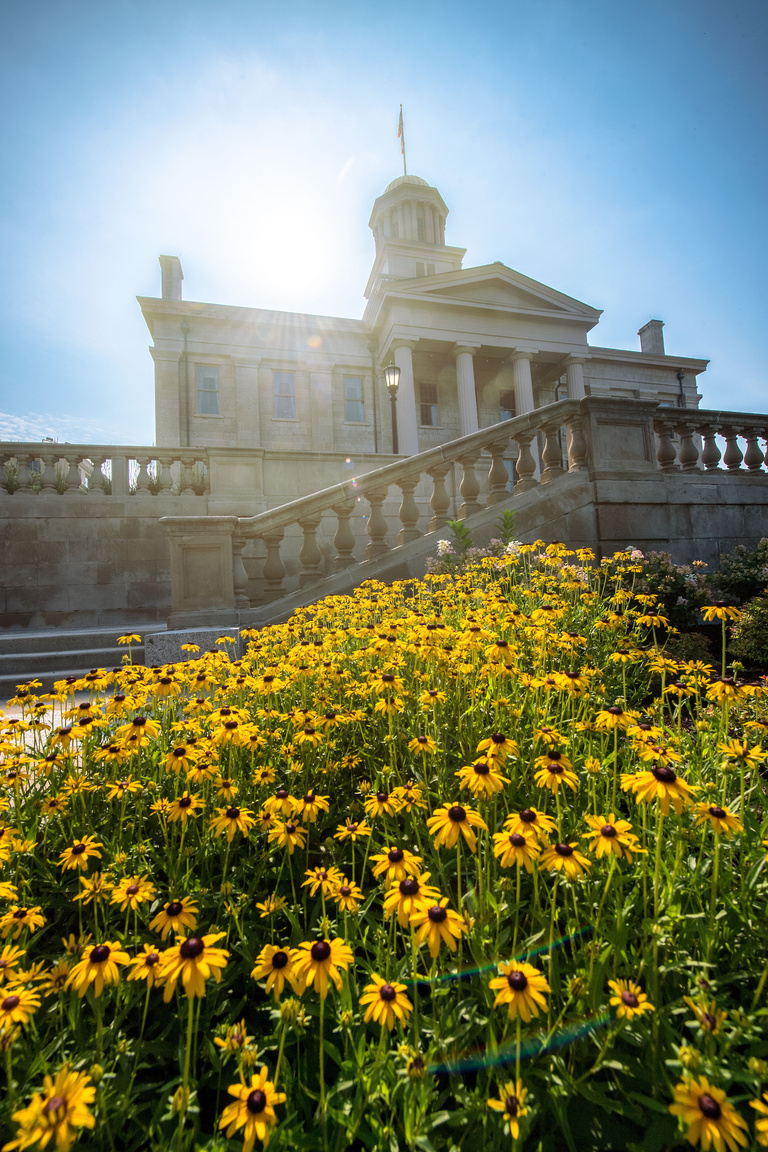 A flower bed with a building behind it