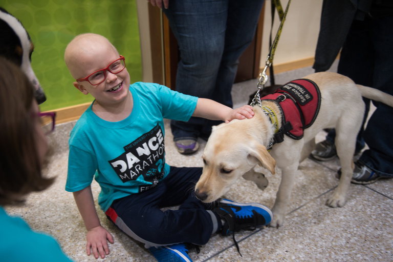 a kid petting a service dog