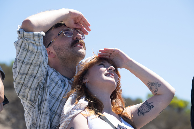 two people looking skyward