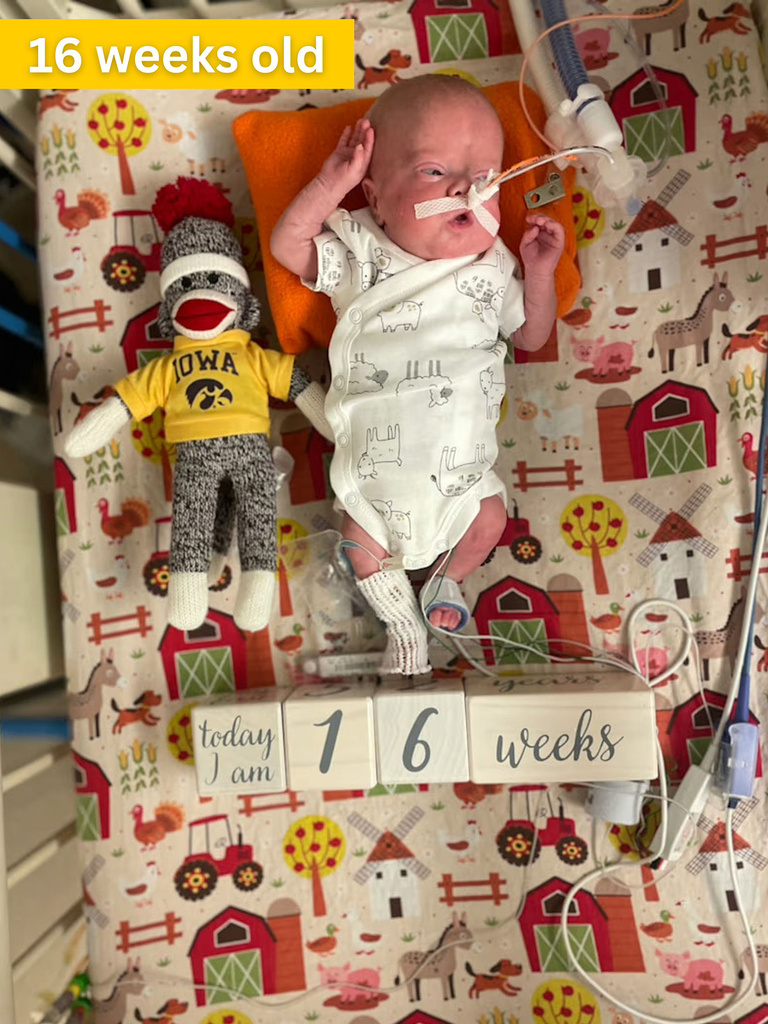 nash at 16 weeks, next to a stuffed animal