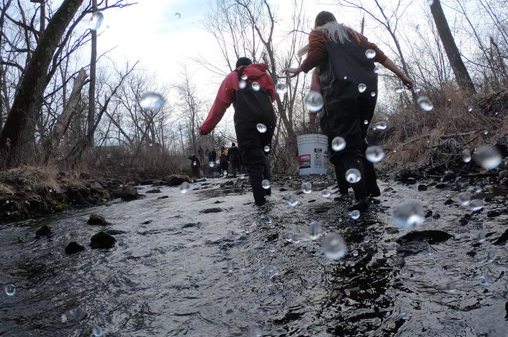 students working in a stream during a fish ecology class