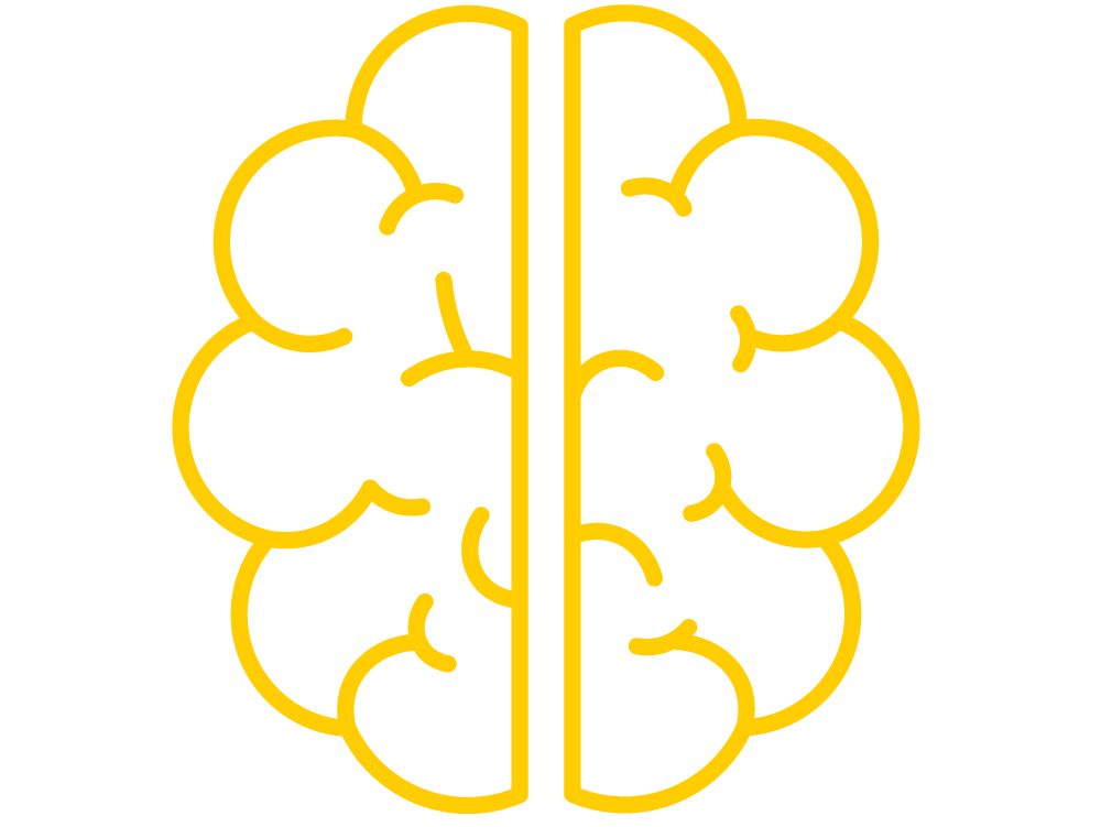 brain icon