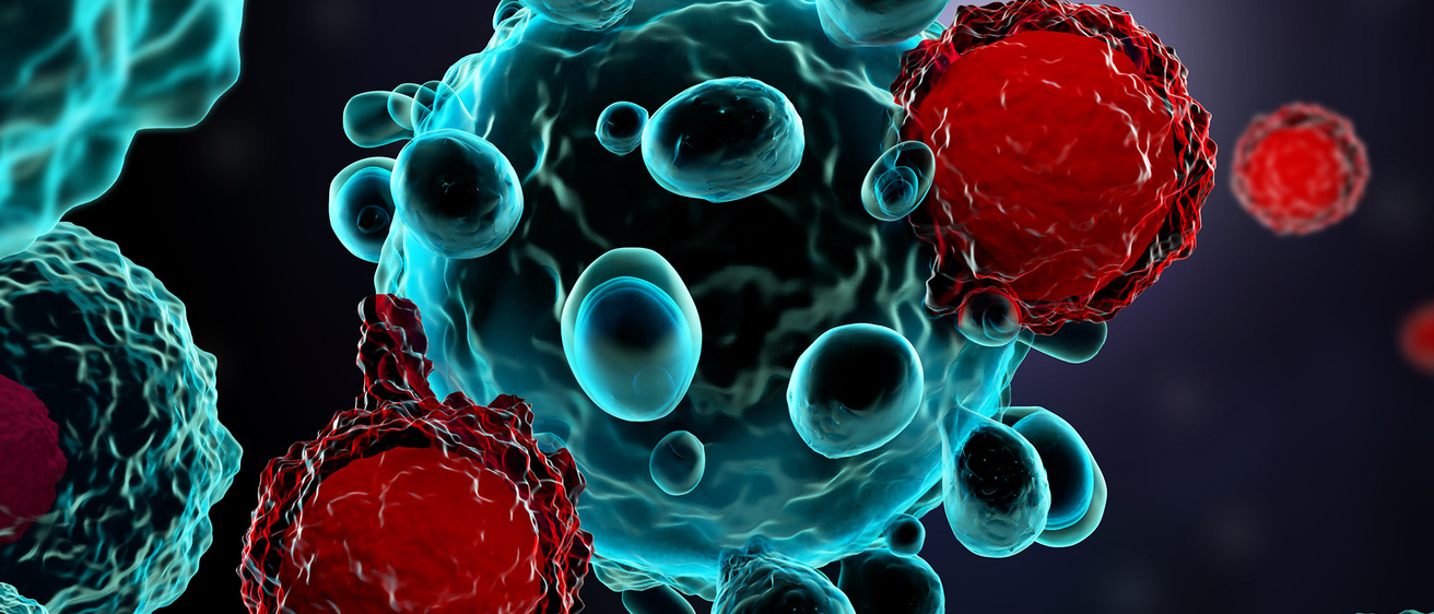 An image of different cells