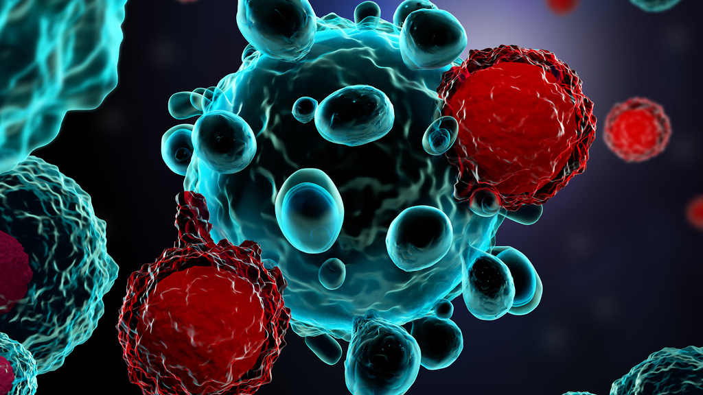 An image of different cells