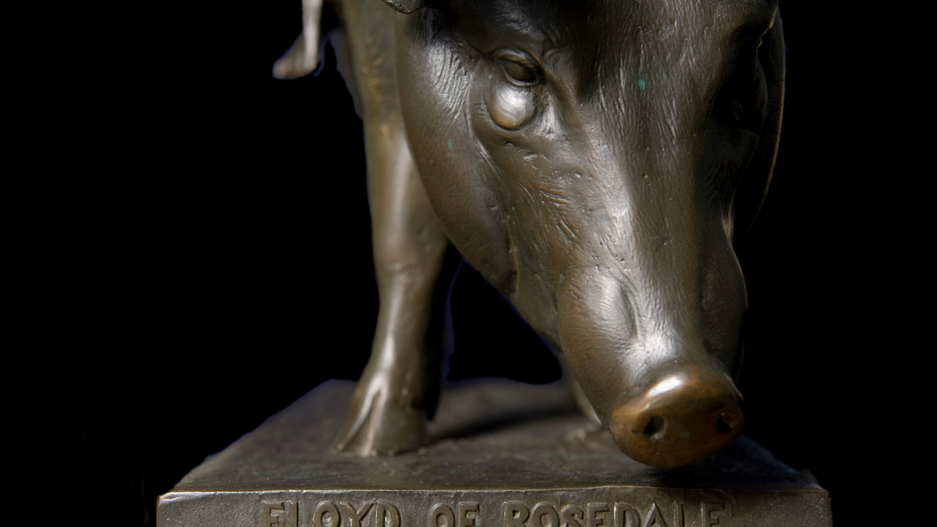 A bronze pig statue facing the camera that says "Floyd of Rosedale" on it