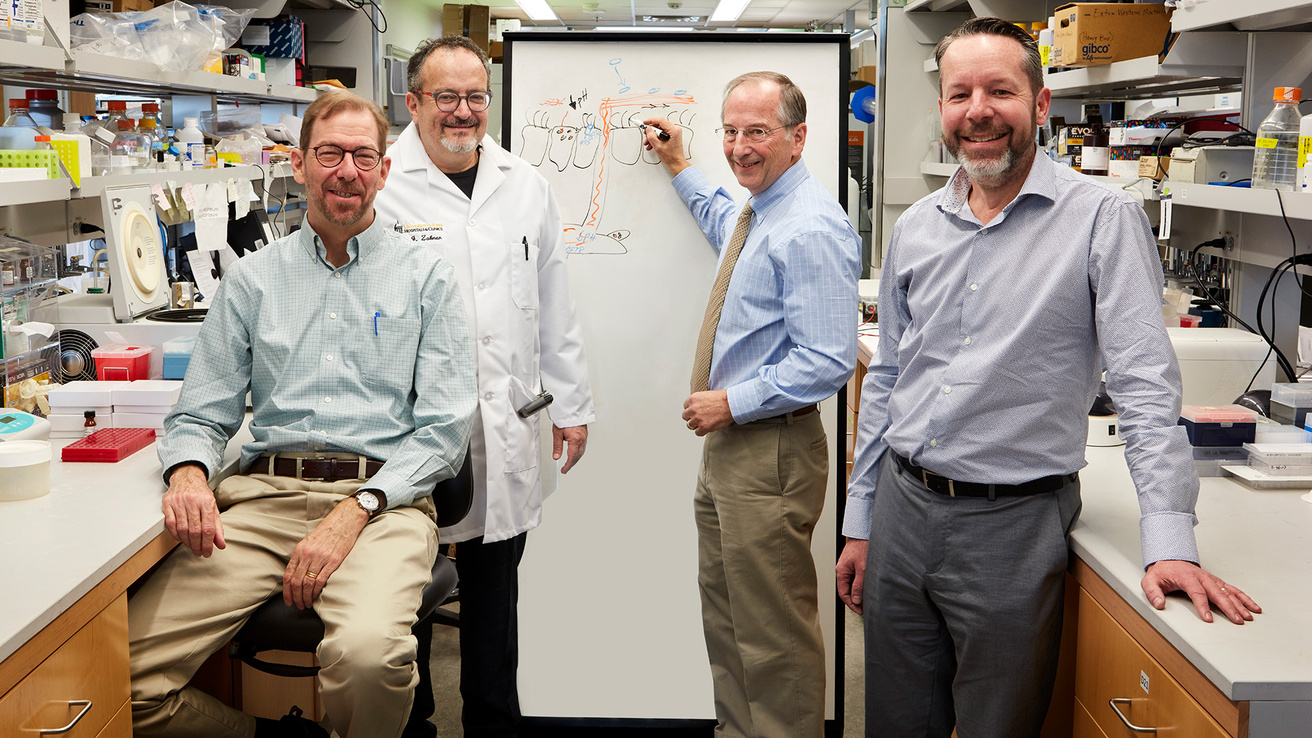 four researchers posing for a photo in a lab